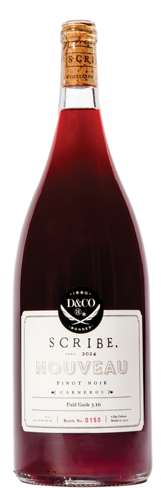 2024 Nouveau of Pinot Noir Magnum 1